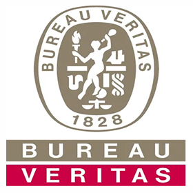 BV(yn)S
